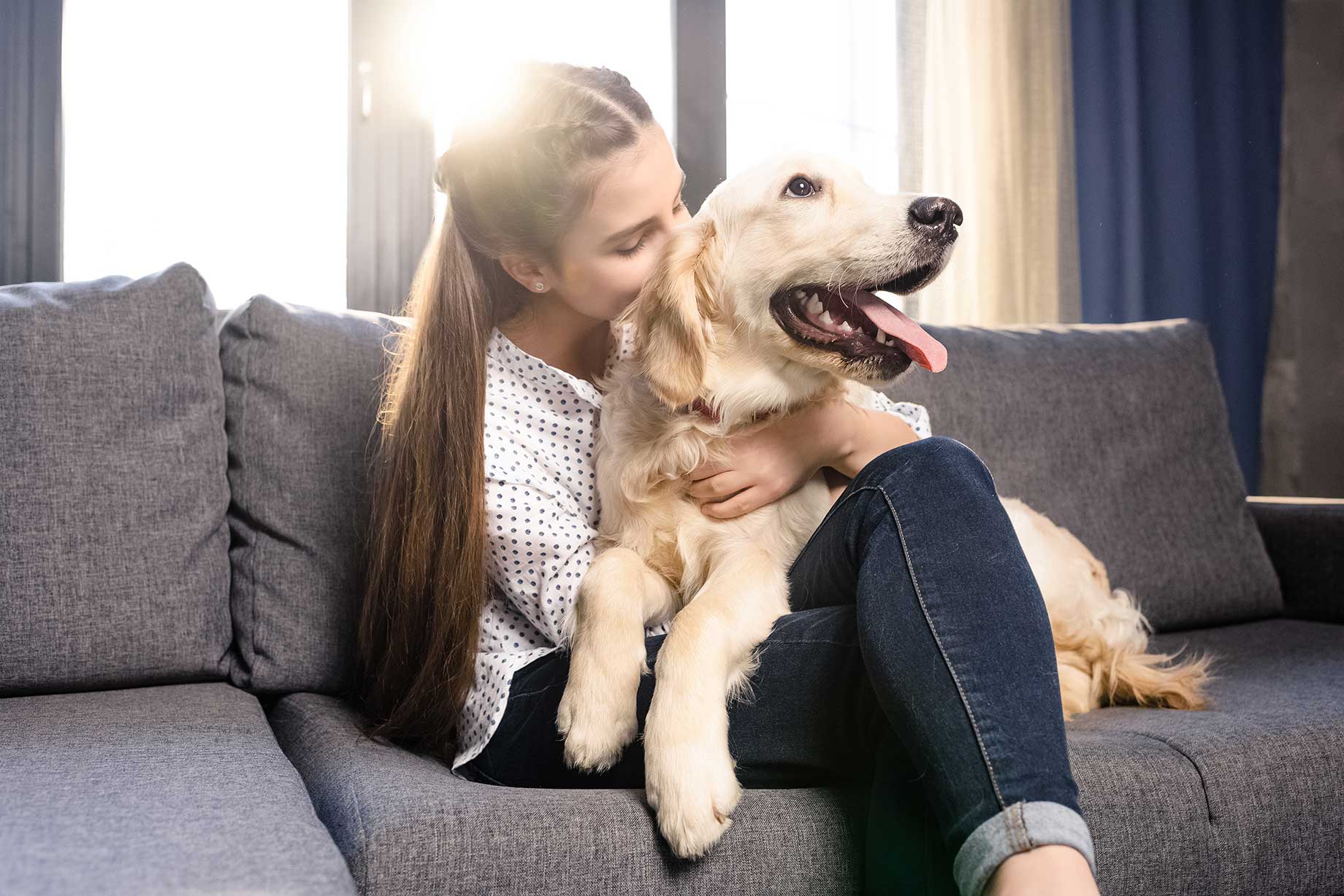 How Much Do Dog Sitters Charge In The UK Rates Explained 